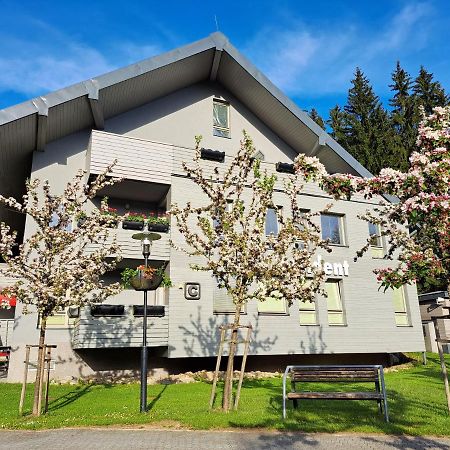 Resident Harrachov Family Apartment Esterno foto
